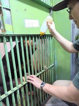 ジュースを飲ませつつ爪を触る担当者