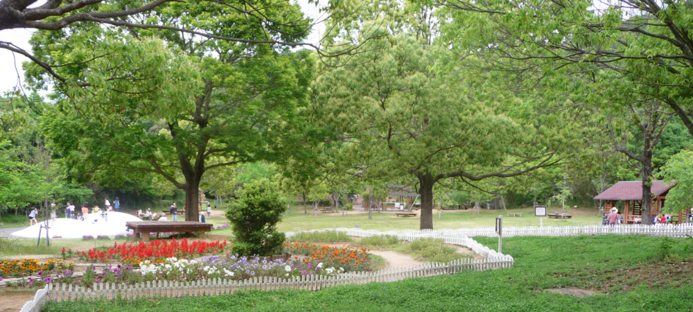 ピクニック広場 高知県立のいち動物公園 公式サイト 人も動物もいきいきと