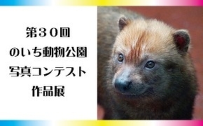 高知県立のいち動物公園 公式サイト 人も動物もいきいきと