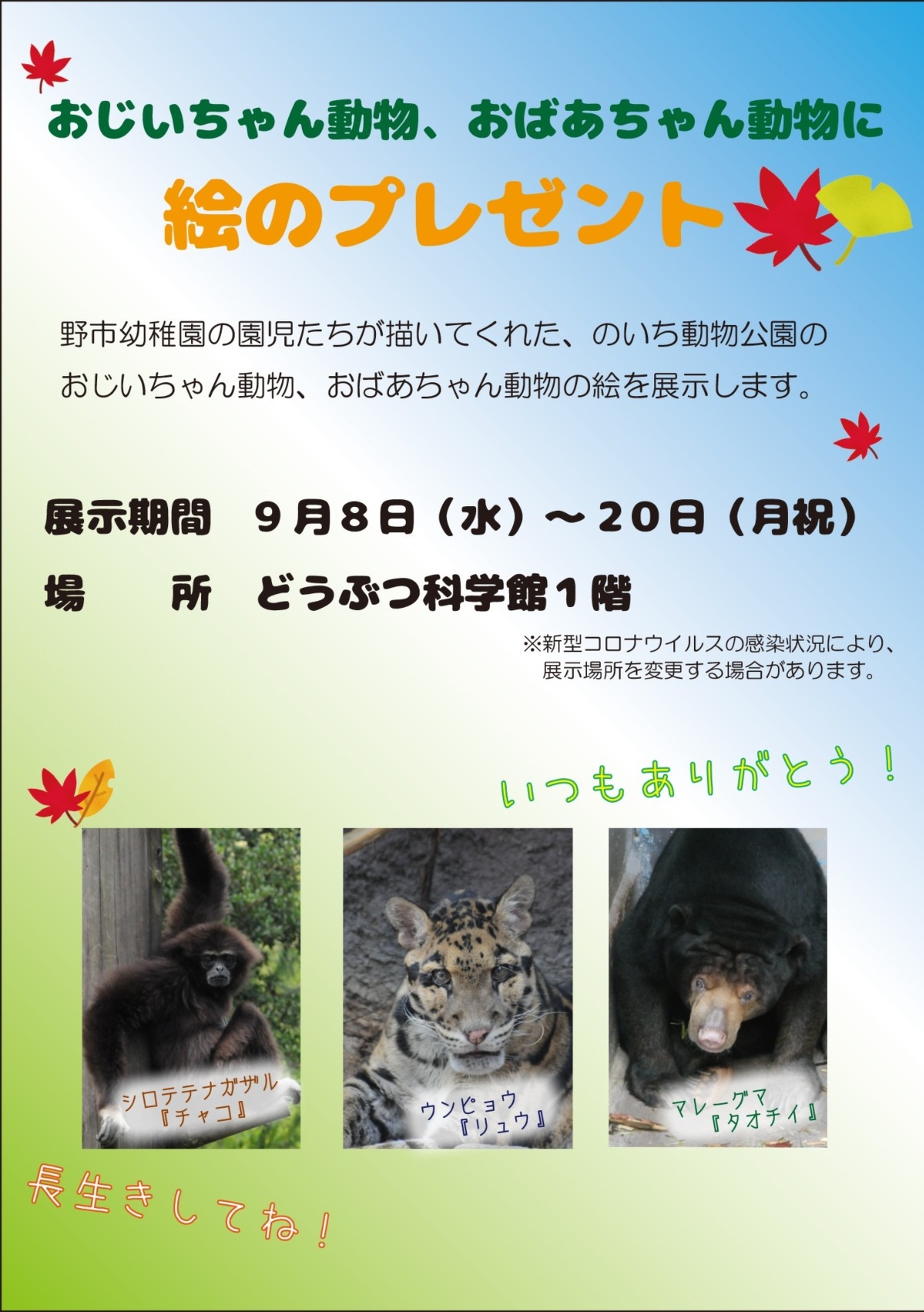 おじいちゃん動物 おばあちゃん動物に絵のプレゼント 作品展示 イベント情報 高知県立のいち動物公園 公式サイト 人も動物もいきいきと