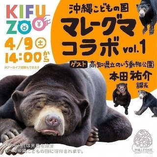 4 9にkifuzoo沖縄こどものくに マレーグマコラボvol 1 に出演します 園からのお知らせ 高知県立のいち動物公園 公式サイト 人も 動物もいきいきと