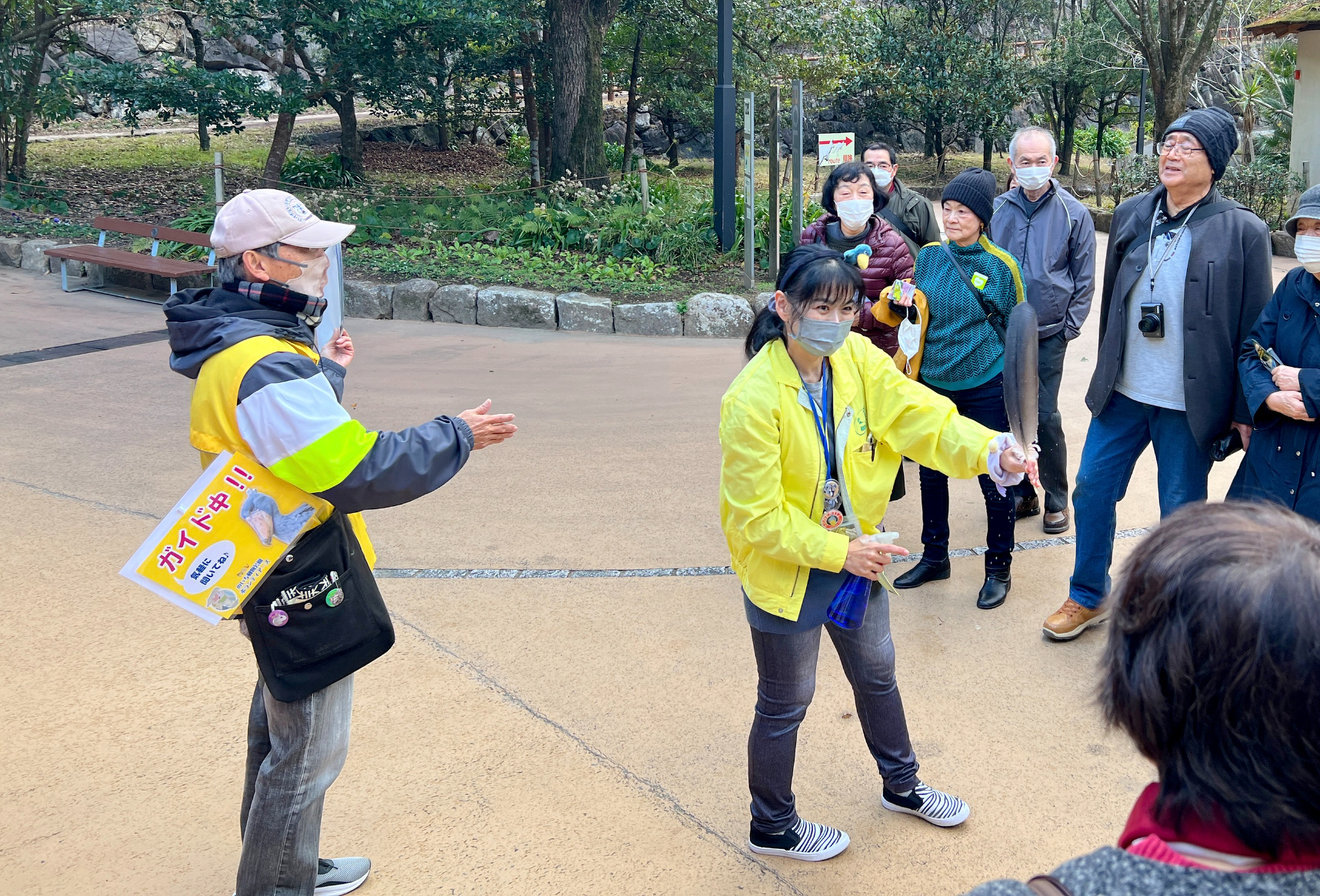 動物園のつくり方: 入門 動物園学／PAUL A. REES 動物園のつくり方: 入門 動物園学 | PAUL A. REES, 武田 庄平