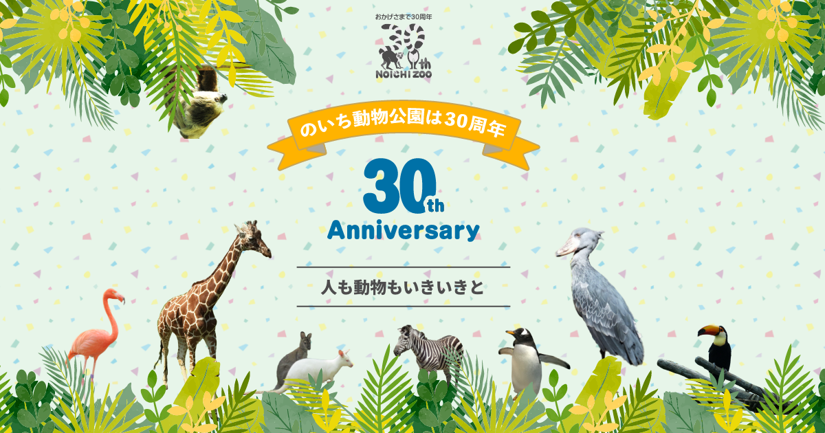ファッション人気ブランドランキング のいち動物公園開園30周年｜高知県立のいち動物公園 絵画